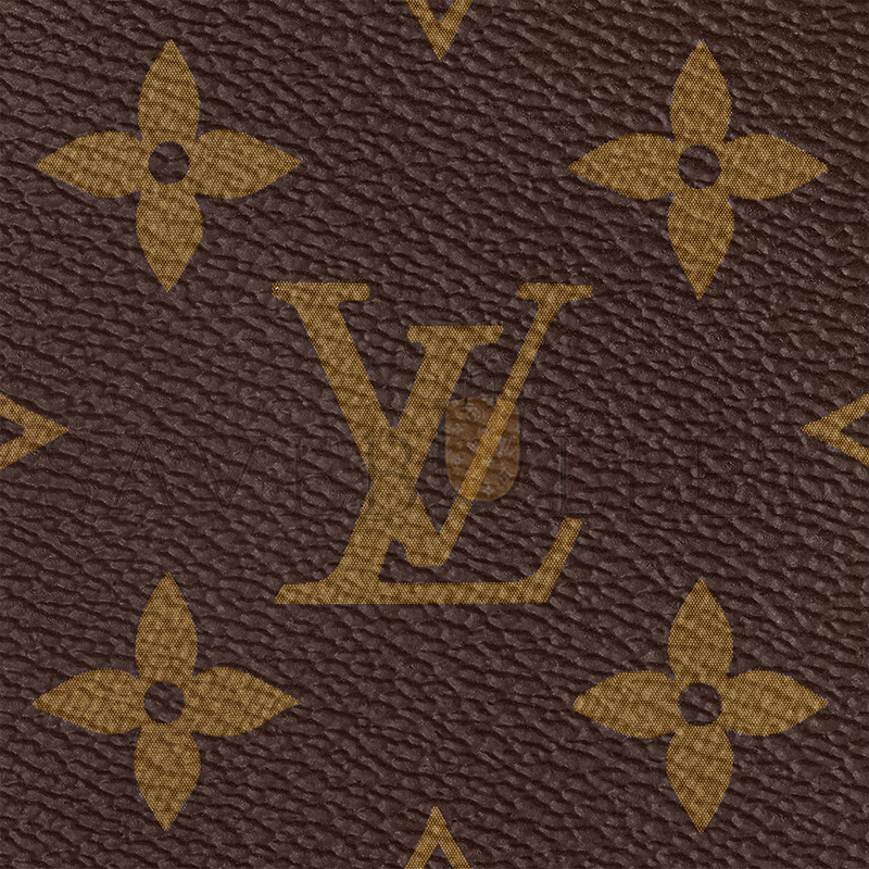 LOUIS VUITTON SPEEDY BANDOULIÈRE 20 M46234 (21*13*12cm)
